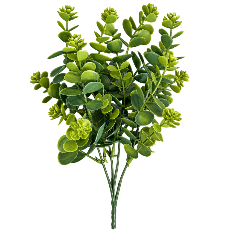 HXZR043 — Eucalyptus-style foliage — isolated product image