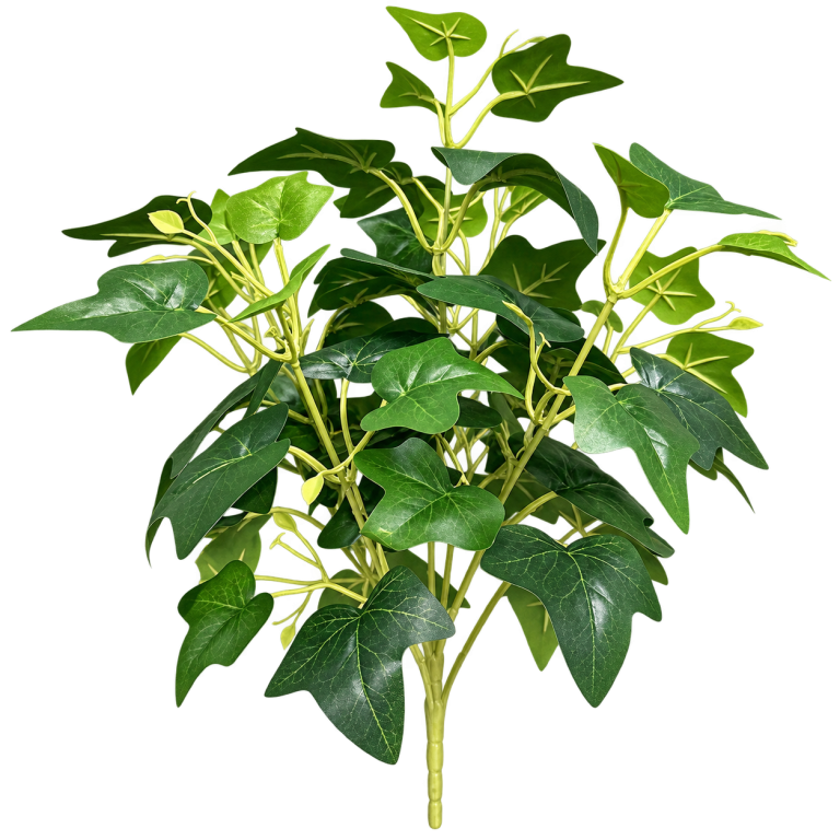 HXZR055 — Large ivy stems — isolated product image