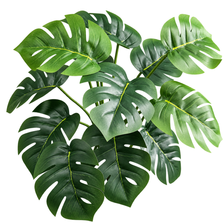 HXZR056 — Monstera — 6 leaves — isolated product image