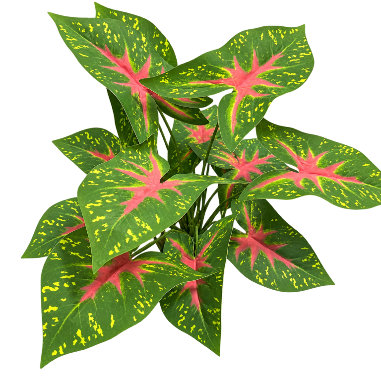 Style R24 — Pink-centred taro — 13 leaves — isolated product image