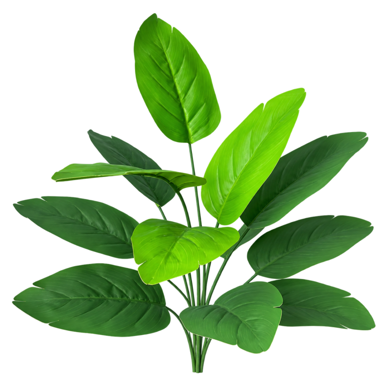 Style R26 — Traveller palm — 12 leaves — isolated product image