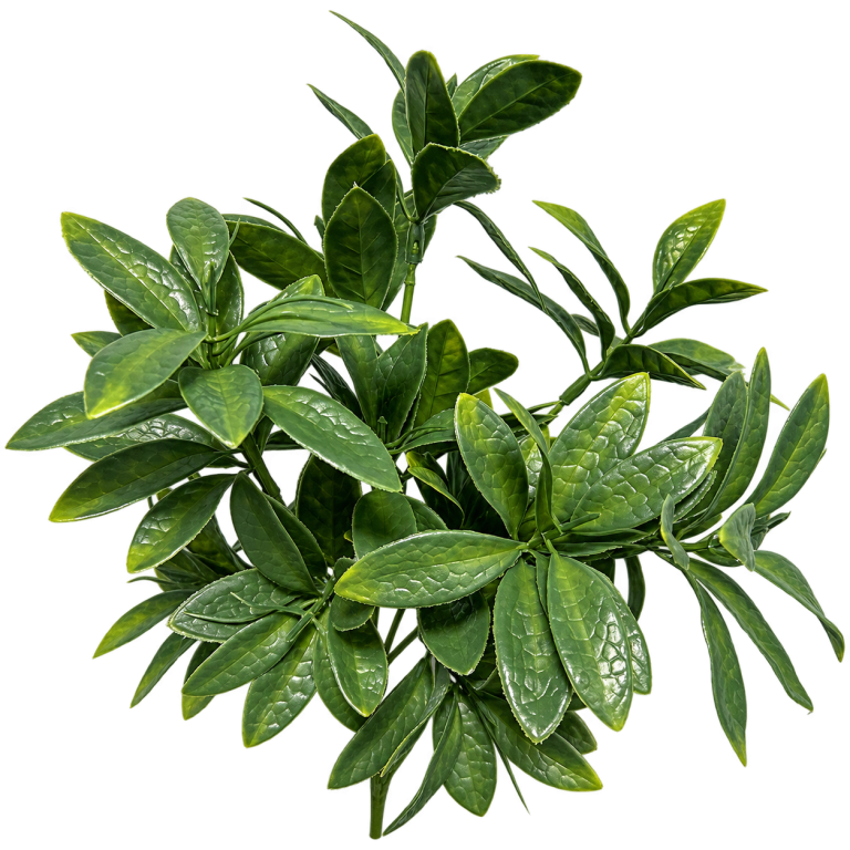 Style R3 — Decorative foliage — isolated product image