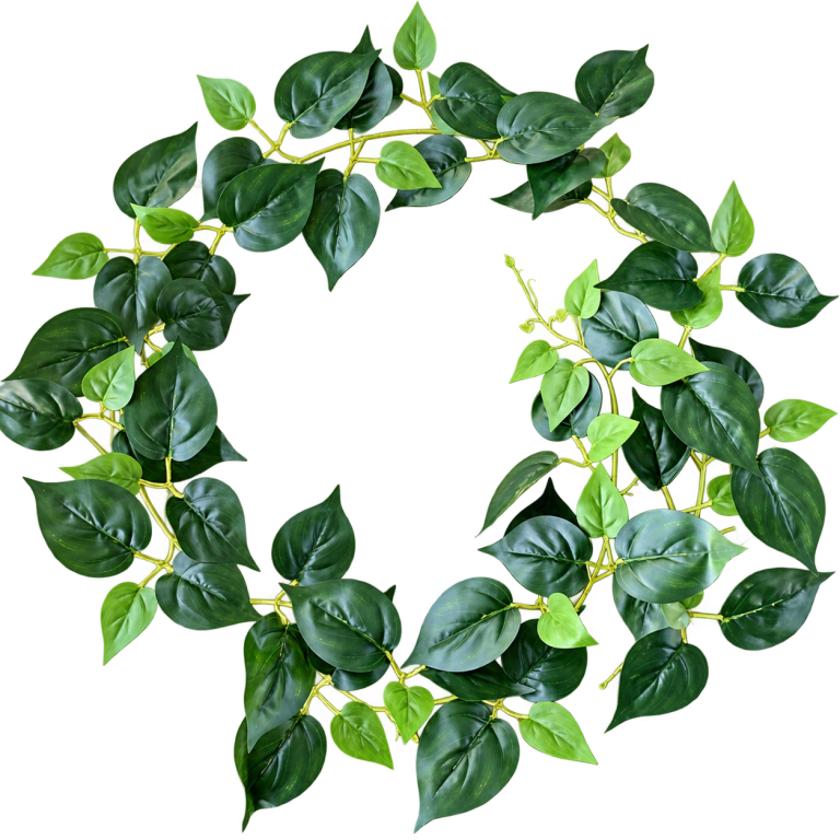 HXZR072 — Pothos garland — isolated product image