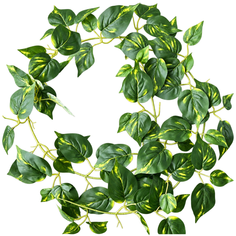 HXZR074 — Variegated pothos garland — isolated product image