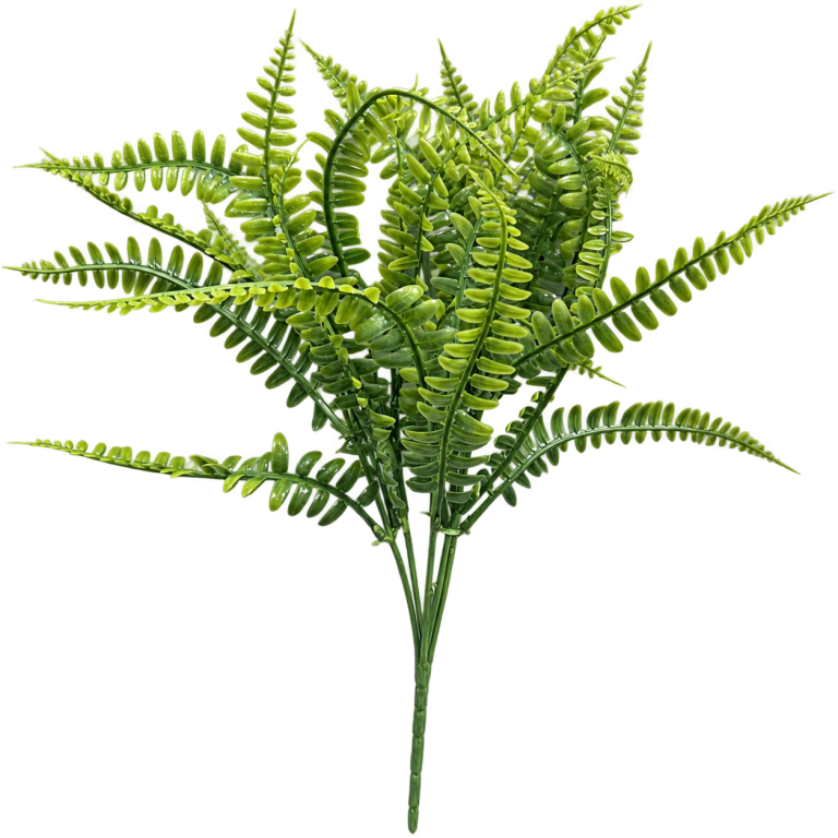 HXZR022 — Fern-style foliage — isolated product image