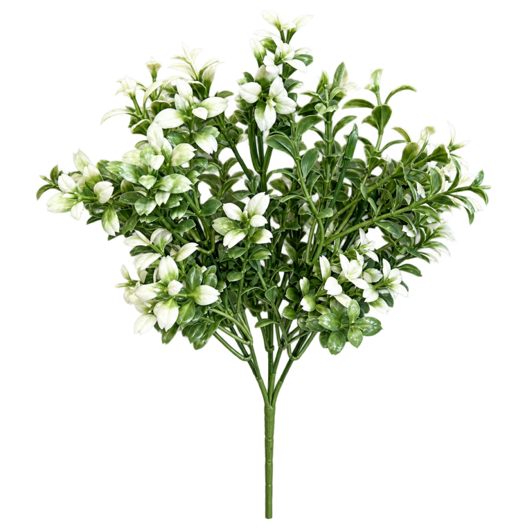 HXZR023 — White-accent foliage — isolated product image