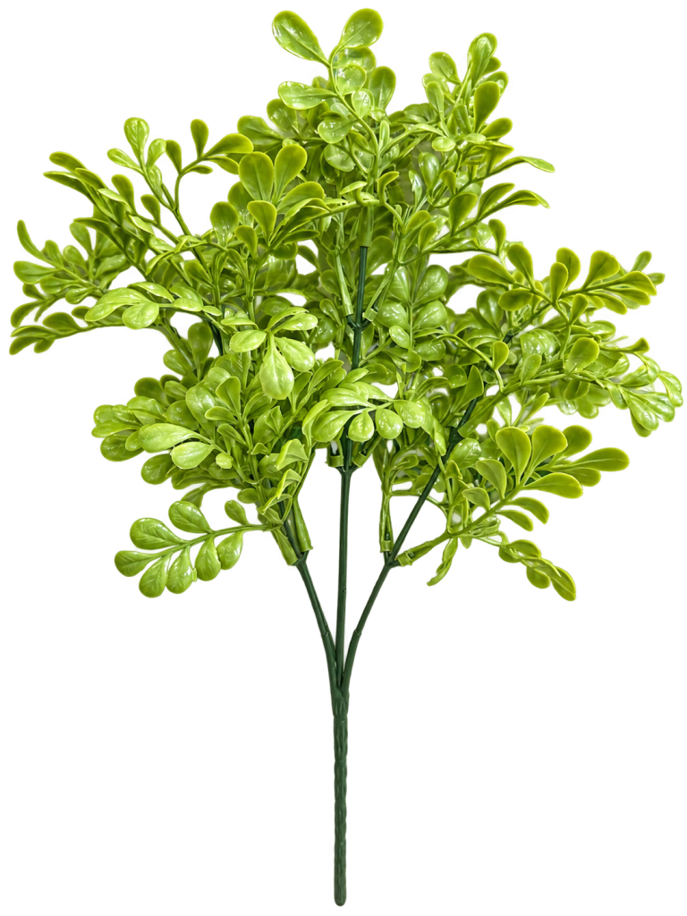 HXZR026 — Light-green foliage — isolated product image