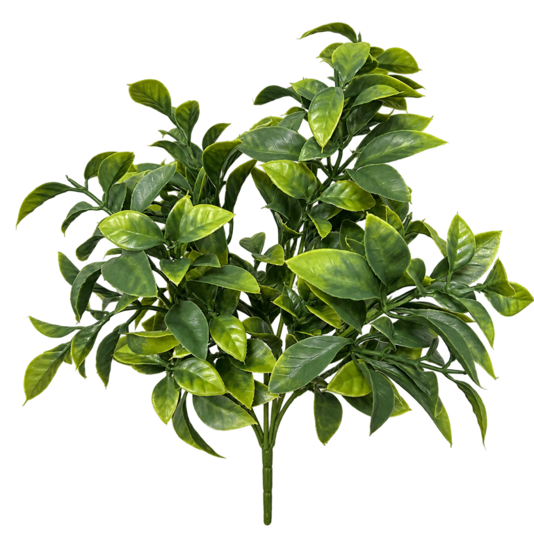 HXZR034 — Apple-green foliage — isolated product image