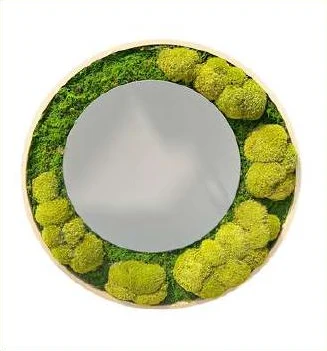 309-24415 — mirror