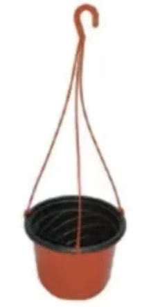JG nursery hanging pots