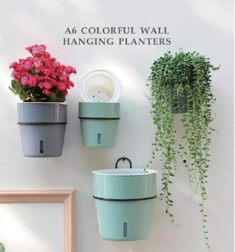A6 Planter Collection
