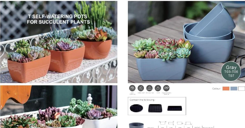 Succulent Pots & Multi-Cell Trays — style reference 67