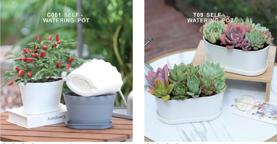 Succulent Pots & Multi-Cell Trays — style reference 74