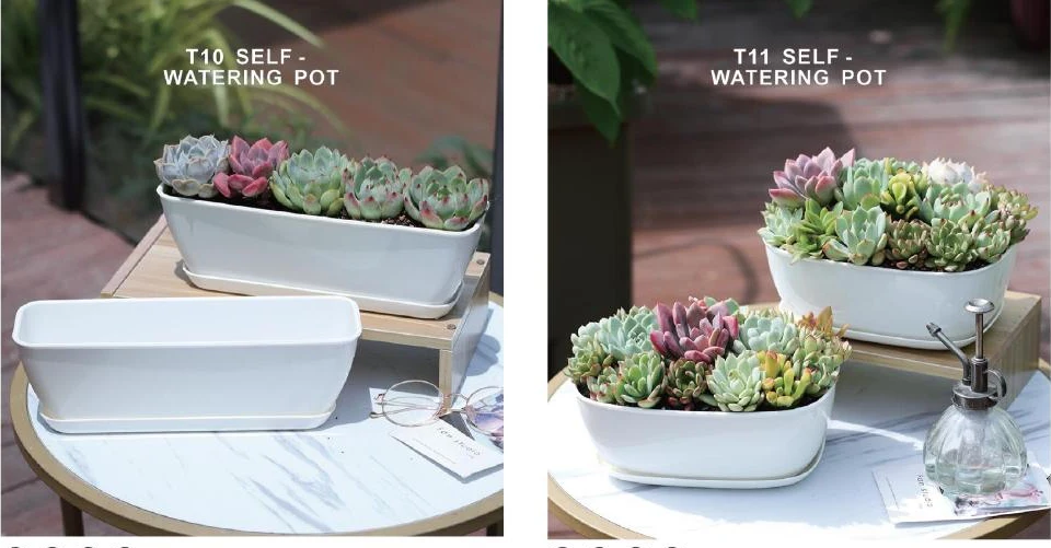 Succulent Pots & Multi-Cell Trays — style reference 75