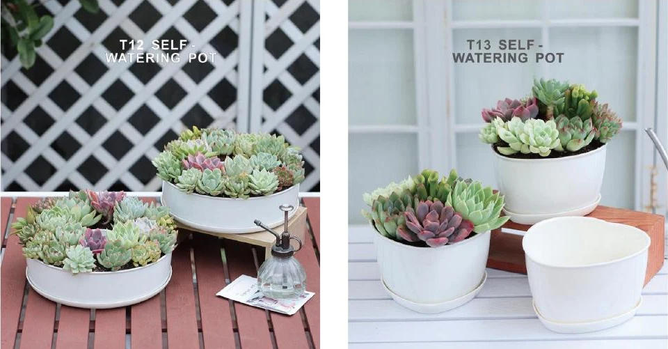 Succulent Pots & Multi-Cell Trays — style reference 76