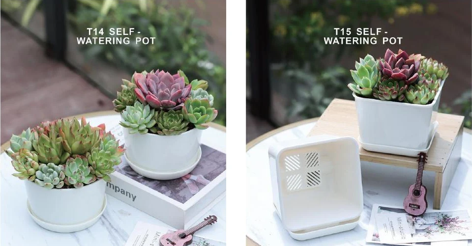 Succulent Pots & Multi-Cell Trays — style reference 77