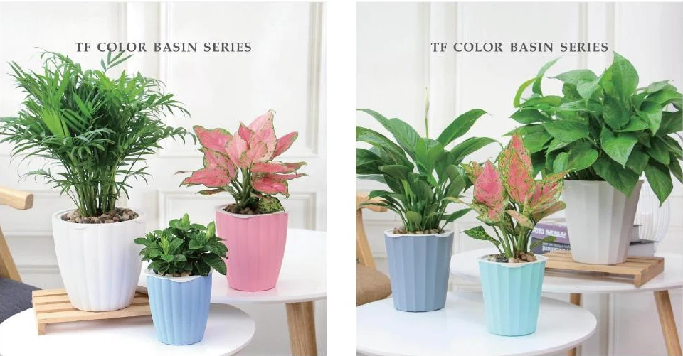 Colourful & Patterned Pots — style reference 107