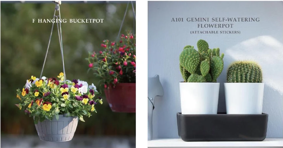 Wall, Corner & Hanging Bucket Pots — style reference 113