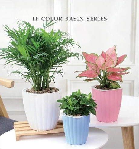Colourful & Patterned Pots