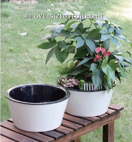Decorative & Statement Planters