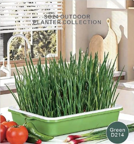Sprouting & Shallow Growing Trays