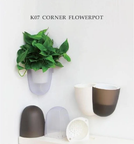 Wall, Corner & Hanging Bucket Pots
