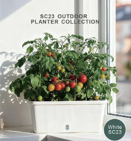 Window Box & Trough Planters