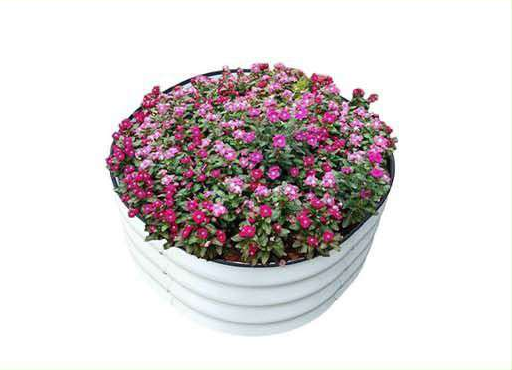 28 cm High Garden Beds — T24-11