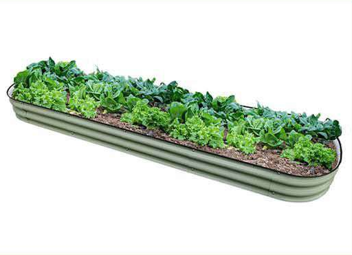 20 cm High Garden Beds — 9N1-8